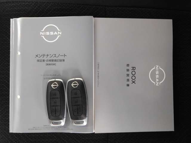 日産 ルークス ６６０ ハイウェイスターＸ R6年 (九州・沖縄) 99