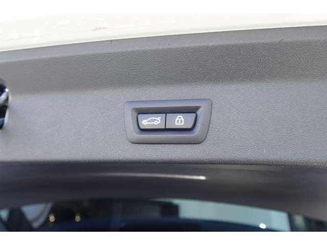 ＢＭＷ Ｘ３ Ｘドライブ２０Ｄ Ｍスポーツ ディーゼルターボ ４ＷＤ H30年 (近畿) 99