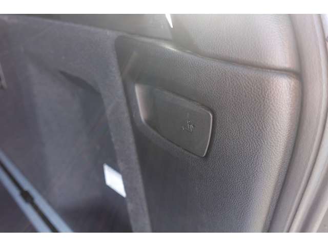 ＢＭＷ Ｘ３ Ｘドライブ２０Ｄ Ｍスポーツ ディーゼルターボ ４ＷＤ H30年 (近畿) 99