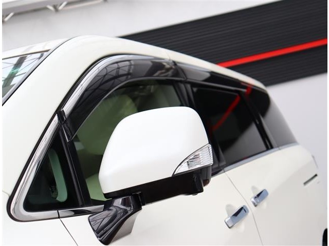 日産 エルグランド ３．５ ライダー ４ＷＤ R1年 (関東) 99