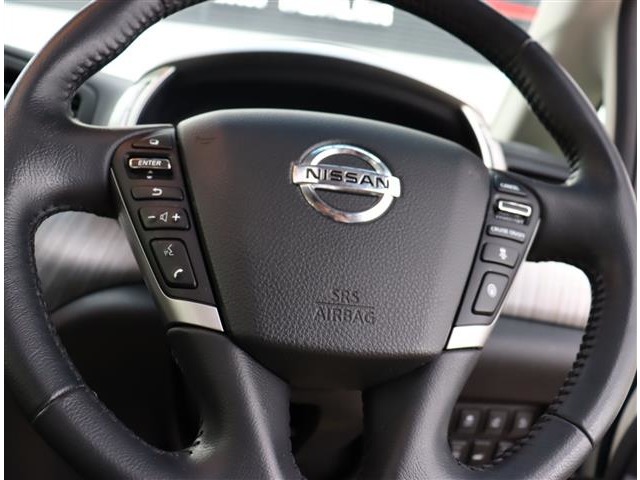 日産 エルグランド ３．５ ライダー ４ＷＤ R1年 (関東) 99