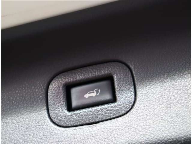 日産 エルグランド ３．５ ライダー ４ＷＤ R1年 (関東) 99