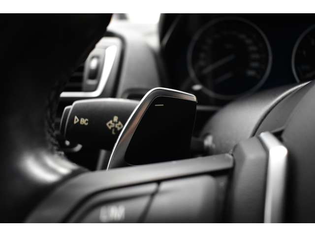 ＢＭＷ ２シリーズ Ｍ２３５Ｉ H27年 (関東) 99