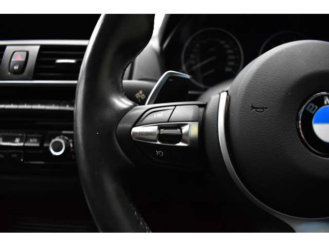 ＢＭＷ ２シリーズ Ｍ２３５Ｉ H27年 (関東) 99