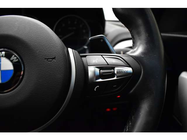 ＢＭＷ ２シリーズ Ｍ２３５Ｉ H27年 (関東) 99