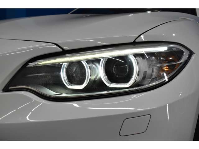 ＢＭＷ ２シリーズ Ｍ２３５Ｉ H27年 (関東) 99