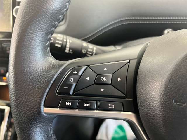 日産 セレナ ２．０ ハイウェイスター ４ＷＤ H28年 (北海道) 99