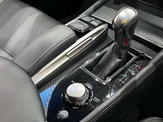 レクサス ＧＳ３５０ Ｆスポーツ H28年 (関東) 99