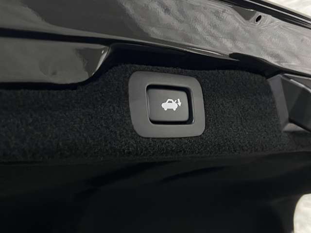 レクサス ＧＳ３５０ Ｆスポーツ H28年 (関東) 99