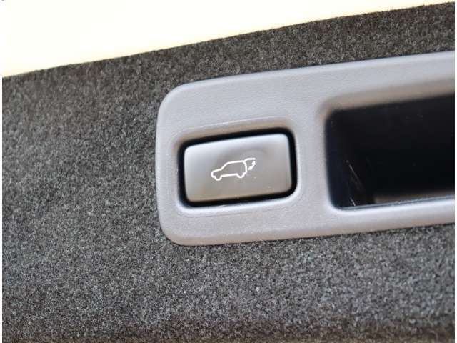 トヨタ ハリアー ２．０ プレミアム H29年 (関東) 99