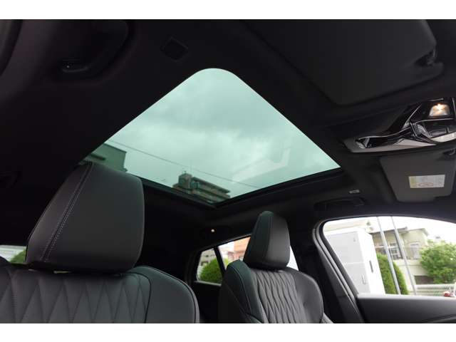 ＢＭＷ Ｘ２ Ｘドライブ２０Ｉ Ｍスポーツ ４ＷＤ R6年 (近畿) 99