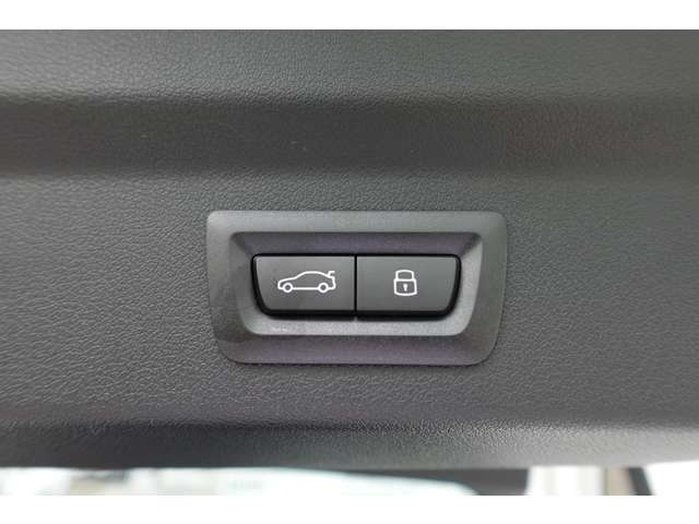 ＢＭＷ Ｘ２ Ｘドライブ２０Ｉ Ｍスポーツ ４ＷＤ R6年 (近畿) 99