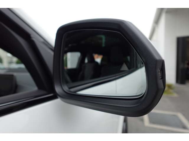 ＢＭＷ Ｘ２ Ｘドライブ２０Ｉ Ｍスポーツ ４ＷＤ R6年 (近畿) 99