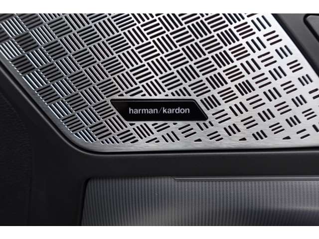 ＢＭＷ Ｘ２ Ｘドライブ２０Ｉ Ｍスポーツ ４ＷＤ R6年 (近畿) 99