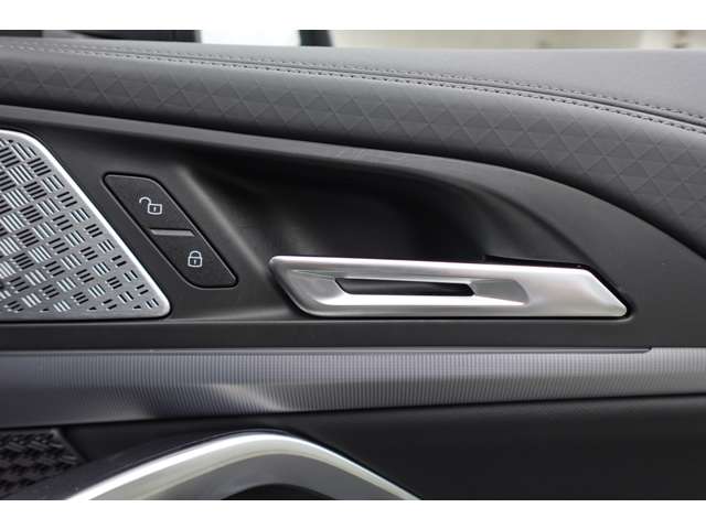 ＢＭＷ Ｘ２ Ｘドライブ２０Ｉ Ｍスポーツ ４ＷＤ R6年 (近畿) 99