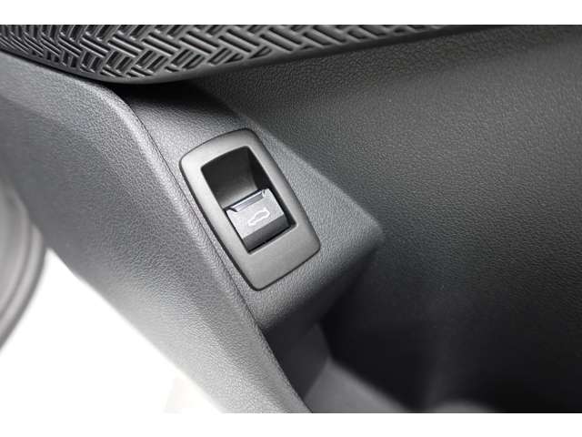 ＢＭＷ Ｘ２ Ｘドライブ２０Ｉ Ｍスポーツ ４ＷＤ R6年 (近畿) 99