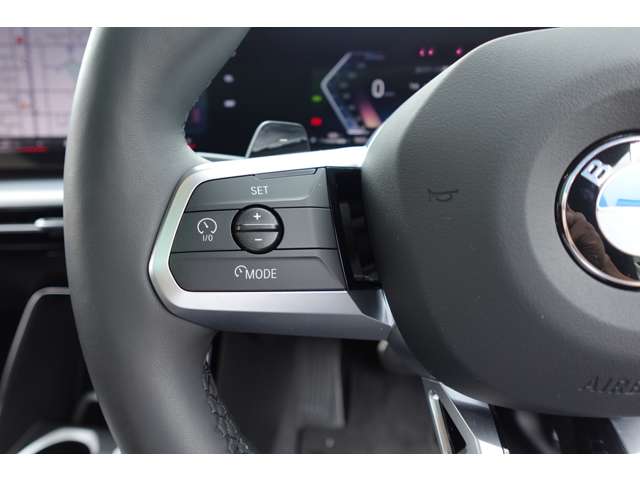 ＢＭＷ Ｘ２ Ｘドライブ２０Ｉ Ｍスポーツ ４ＷＤ R6年 (近畿) 99