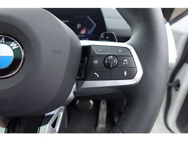 ＢＭＷ Ｘ２ Ｘドライブ２０Ｉ Ｍスポーツ ４ＷＤ R6年 (近畿) 99