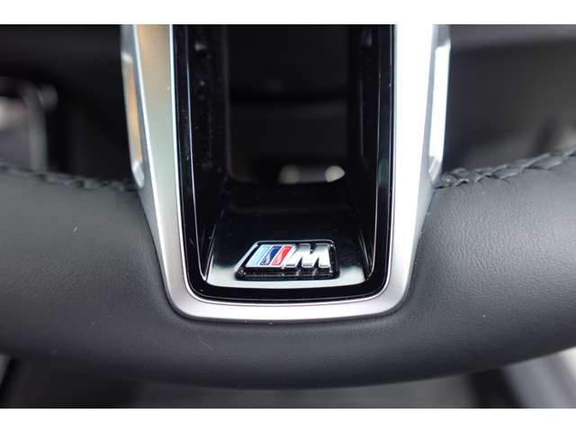 ＢＭＷ Ｘ２ Ｘドライブ２０Ｉ Ｍスポーツ ４ＷＤ R6年 (近畿) 99