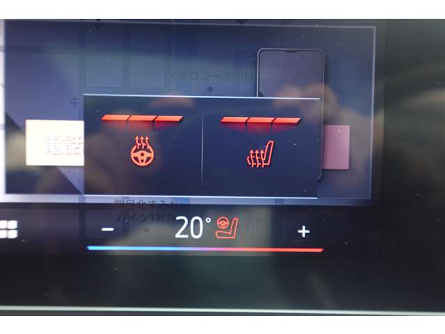 ＢＭＷ Ｘ２ Ｘドライブ２０Ｉ Ｍスポーツ ４ＷＤ R6年 (近畿) 99