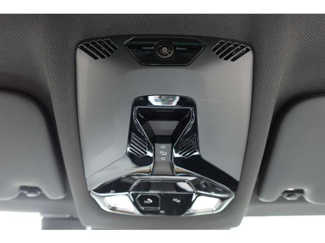 ＢＭＷ Ｘ２ Ｘドライブ２０Ｉ Ｍスポーツ ４ＷＤ R6年 (近畿) 99