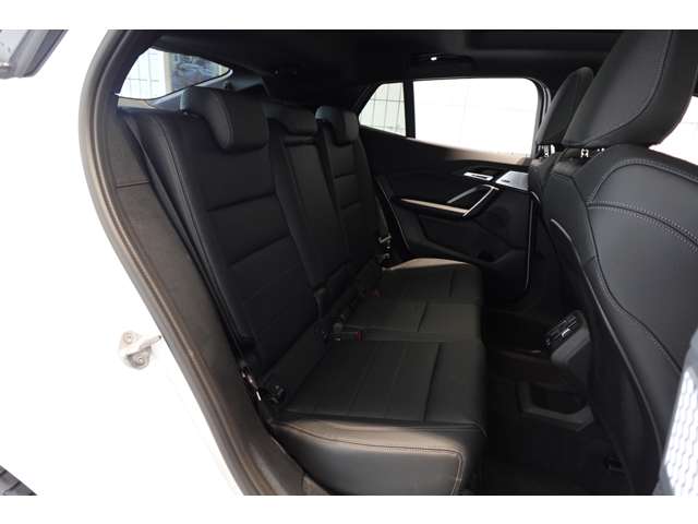 ＢＭＷ Ｘ２ Ｘドライブ２０Ｉ Ｍスポーツ ４ＷＤ R6年 (近畿) 99