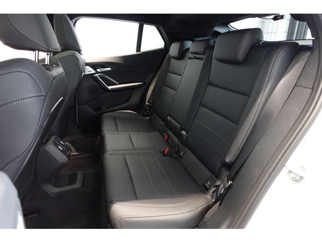 ＢＭＷ Ｘ２ Ｘドライブ２０Ｉ Ｍスポーツ ４ＷＤ R6年 (近畿) 99