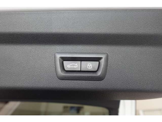 ＢＭＷ Ｘ２ Ｘドライブ２０Ｉ Ｍスポーツ ４ＷＤ R6年 (近畿) 99