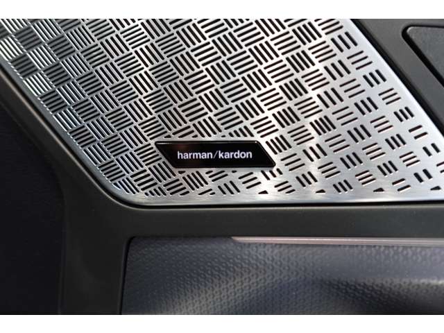 ＢＭＷ Ｘ２ Ｘドライブ２０Ｉ Ｍスポーツ ４ＷＤ R6年 (近畿) 99