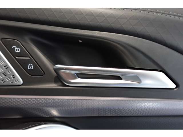 ＢＭＷ Ｘ２ Ｘドライブ２０Ｉ Ｍスポーツ ４ＷＤ R6年 (近畿) 99