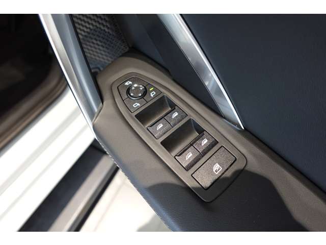 ＢＭＷ Ｘ２ Ｘドライブ２０Ｉ Ｍスポーツ ４ＷＤ R6年 (近畿) 99