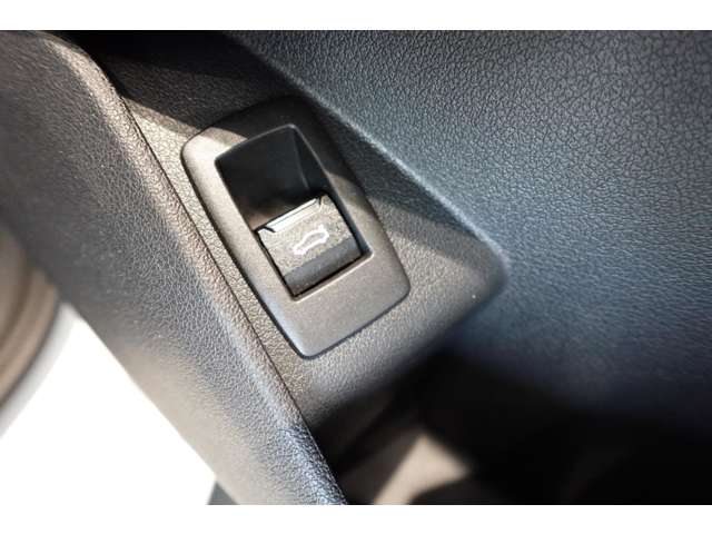 ＢＭＷ Ｘ２ Ｘドライブ２０Ｉ Ｍスポーツ ４ＷＤ R6年 (近畿) 99