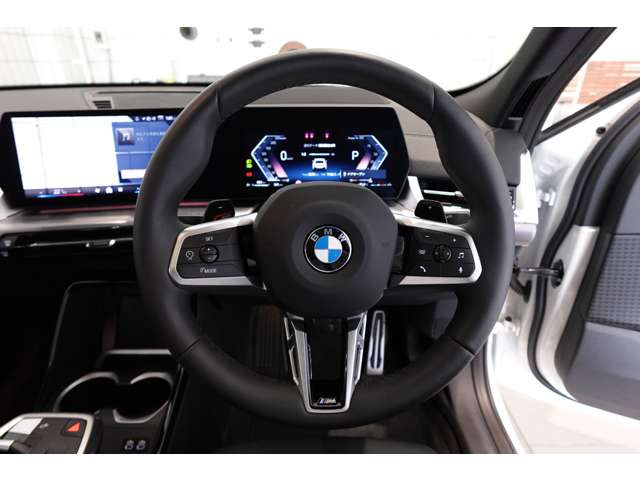 ＢＭＷ Ｘ２ Ｘドライブ２０Ｉ Ｍスポーツ ４ＷＤ R6年 (近畿) 99