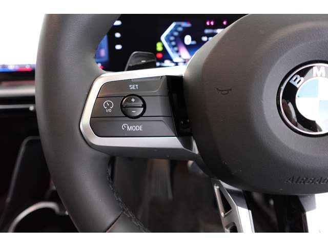 ＢＭＷ Ｘ２ Ｘドライブ２０Ｉ Ｍスポーツ ４ＷＤ R6年 (近畿) 99