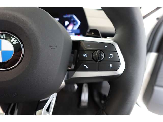 ＢＭＷ Ｘ２ Ｘドライブ２０Ｉ Ｍスポーツ ４ＷＤ R6年 (近畿) 99