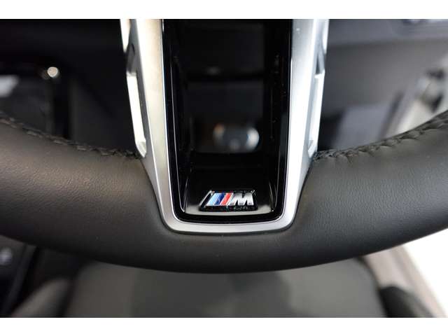 ＢＭＷ Ｘ２ Ｘドライブ２０Ｉ Ｍスポーツ ４ＷＤ R6年 (近畿) 99