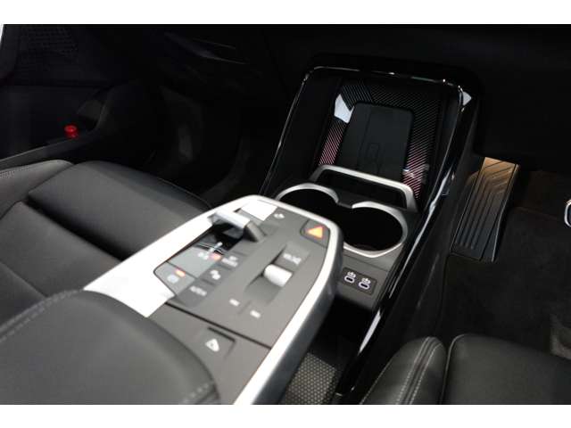 ＢＭＷ Ｘ２ Ｘドライブ２０Ｉ Ｍスポーツ ４ＷＤ R6年 (近畿) 99