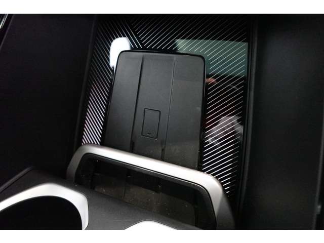 ＢＭＷ Ｘ２ Ｘドライブ２０Ｉ Ｍスポーツ ４ＷＤ R6年 (近畿) 99