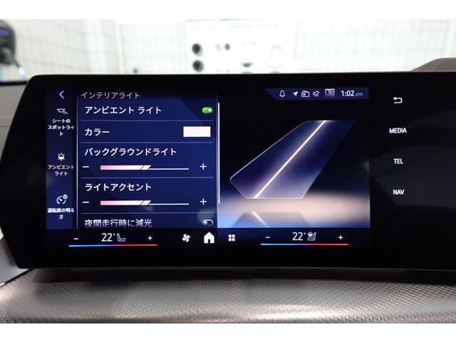 ＢＭＷ Ｘ２ Ｘドライブ２０Ｉ Ｍスポーツ ４ＷＤ R6年 (近畿) 99