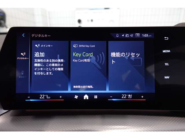 ＢＭＷ Ｘ２ Ｘドライブ２０Ｉ Ｍスポーツ ４ＷＤ R6年 (近畿) 99