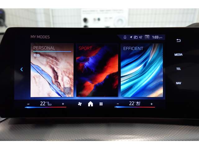 ＢＭＷ Ｘ２ Ｘドライブ２０Ｉ Ｍスポーツ ４ＷＤ R6年 (近畿) 99