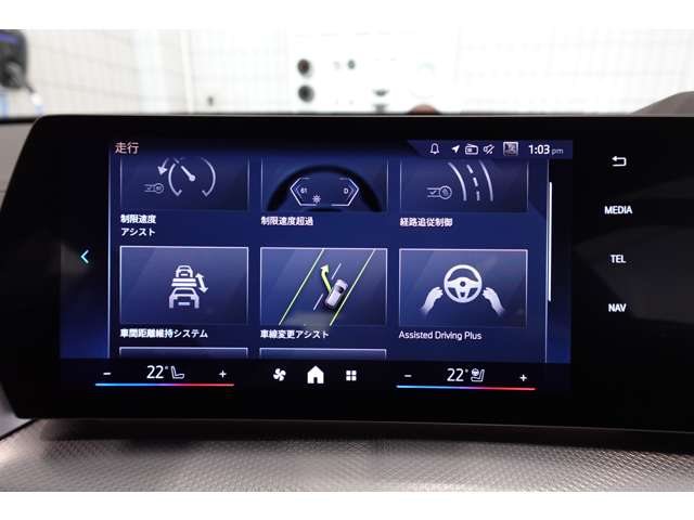 ＢＭＷ Ｘ２ Ｘドライブ２０Ｉ Ｍスポーツ ４ＷＤ R6年 (近畿) 99