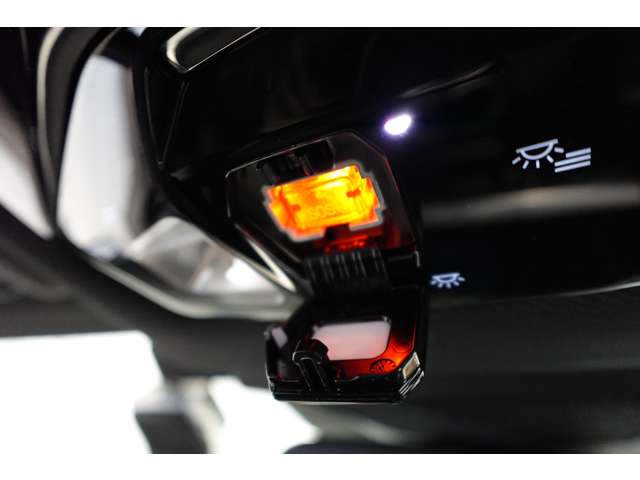 ＢＭＷ Ｘ２ Ｘドライブ２０Ｉ Ｍスポーツ ４ＷＤ R6年 (近畿) 99