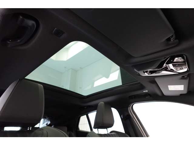 ＢＭＷ Ｘ２ Ｘドライブ２０Ｉ Ｍスポーツ ４ＷＤ R6年 (近畿) 99