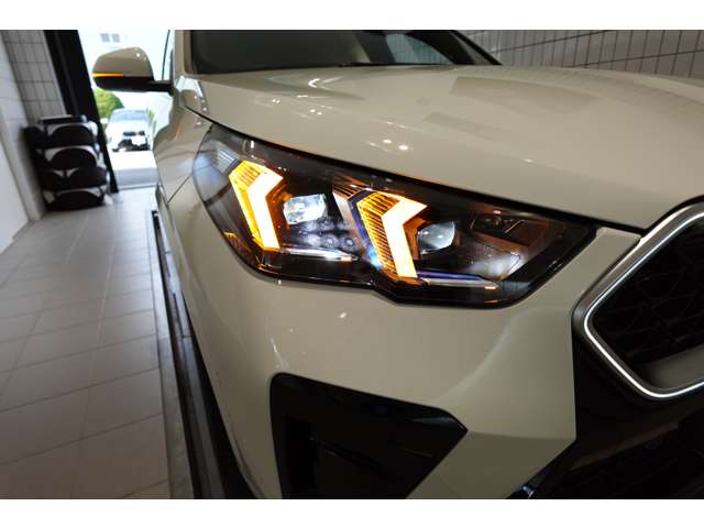 ＢＭＷ Ｘ２ Ｘドライブ２０Ｉ Ｍスポーツ ４ＷＤ R6年 (近畿) 99