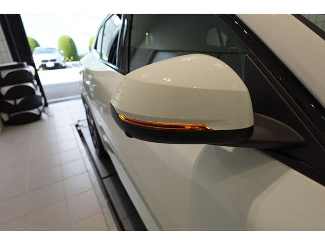 ＢＭＷ Ｘ２ Ｘドライブ２０Ｉ Ｍスポーツ ４ＷＤ R6年 (近畿) 99