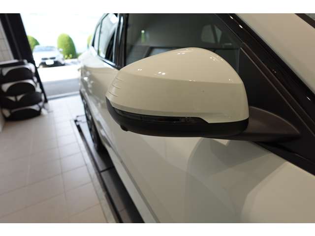 ＢＭＷ Ｘ２ Ｘドライブ２０Ｉ Ｍスポーツ ４ＷＤ R6年 (近畿) 99