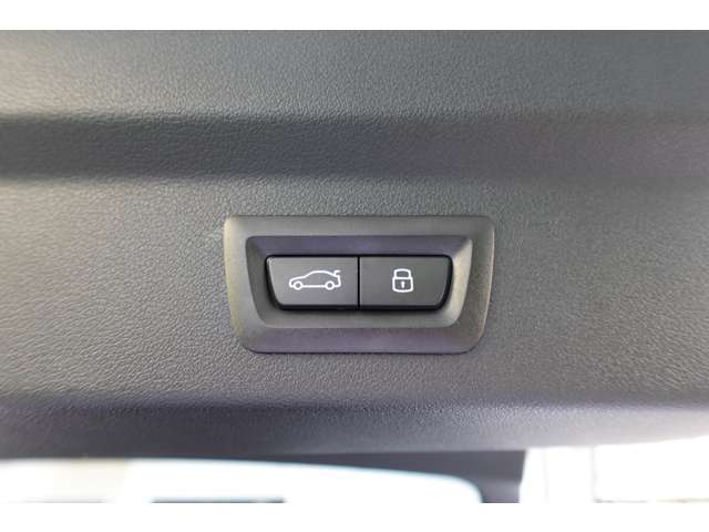 ＢＭＷ Ｘ２ Ｘドライブ２０Ｉ Ｍスポーツ ４ＷＤ R6年 (近畿) 99