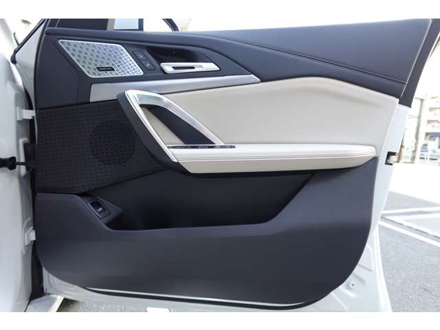 ＢＭＷ Ｘ２ Ｘドライブ２０Ｉ Ｍスポーツ ４ＷＤ R6年 (近畿) 99