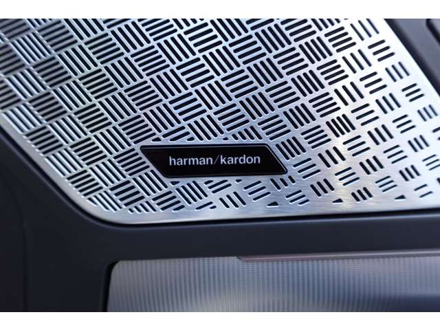 ＢＭＷ Ｘ２ Ｘドライブ２０Ｉ Ｍスポーツ ４ＷＤ R6年 (近畿) 99